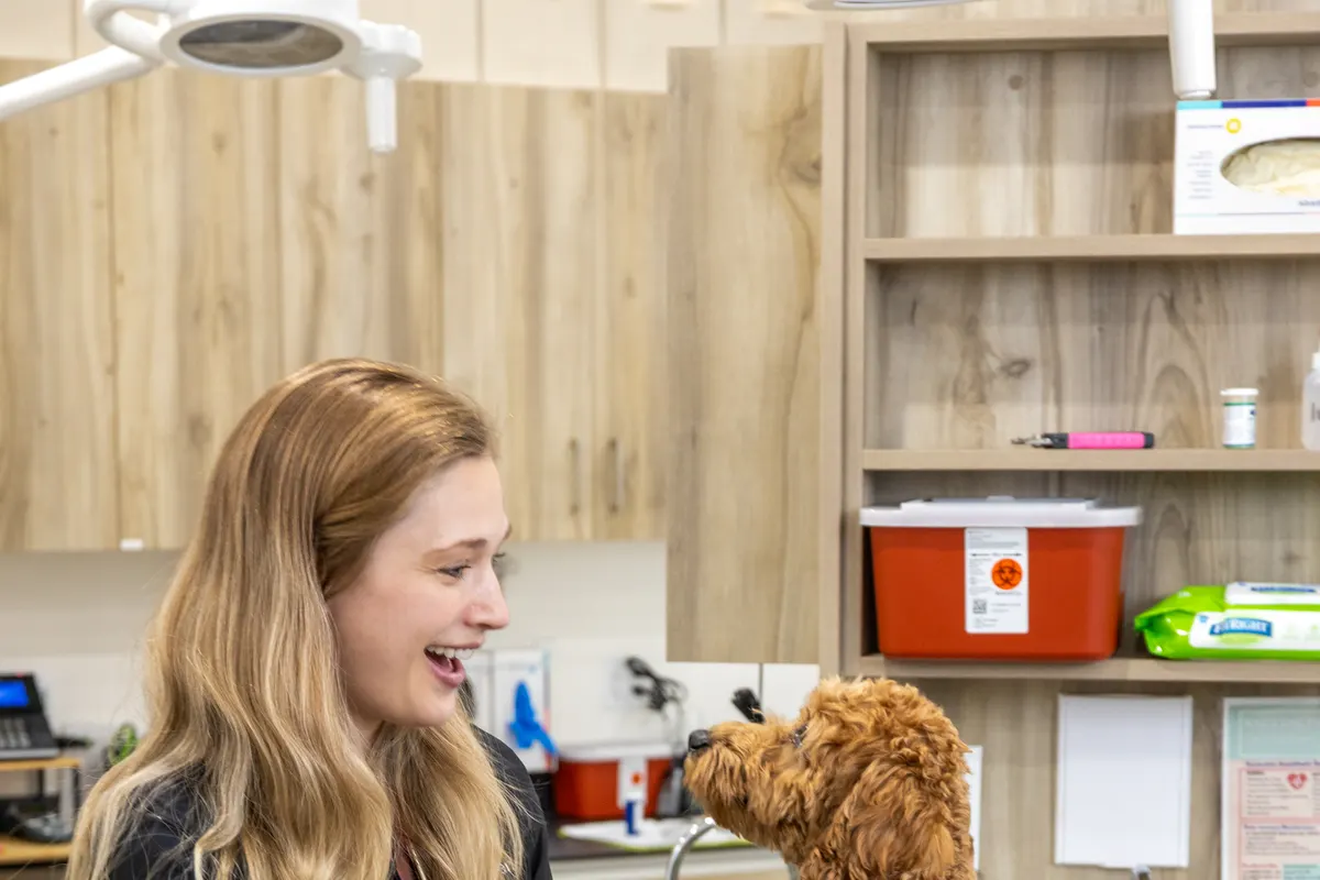 Dr. Nicole Sorensen sharing a laugh with a goldendoodle during an exam