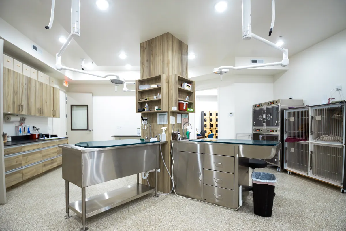 Central veterinary treatment island with procedure tables and adjustable overhead lighting