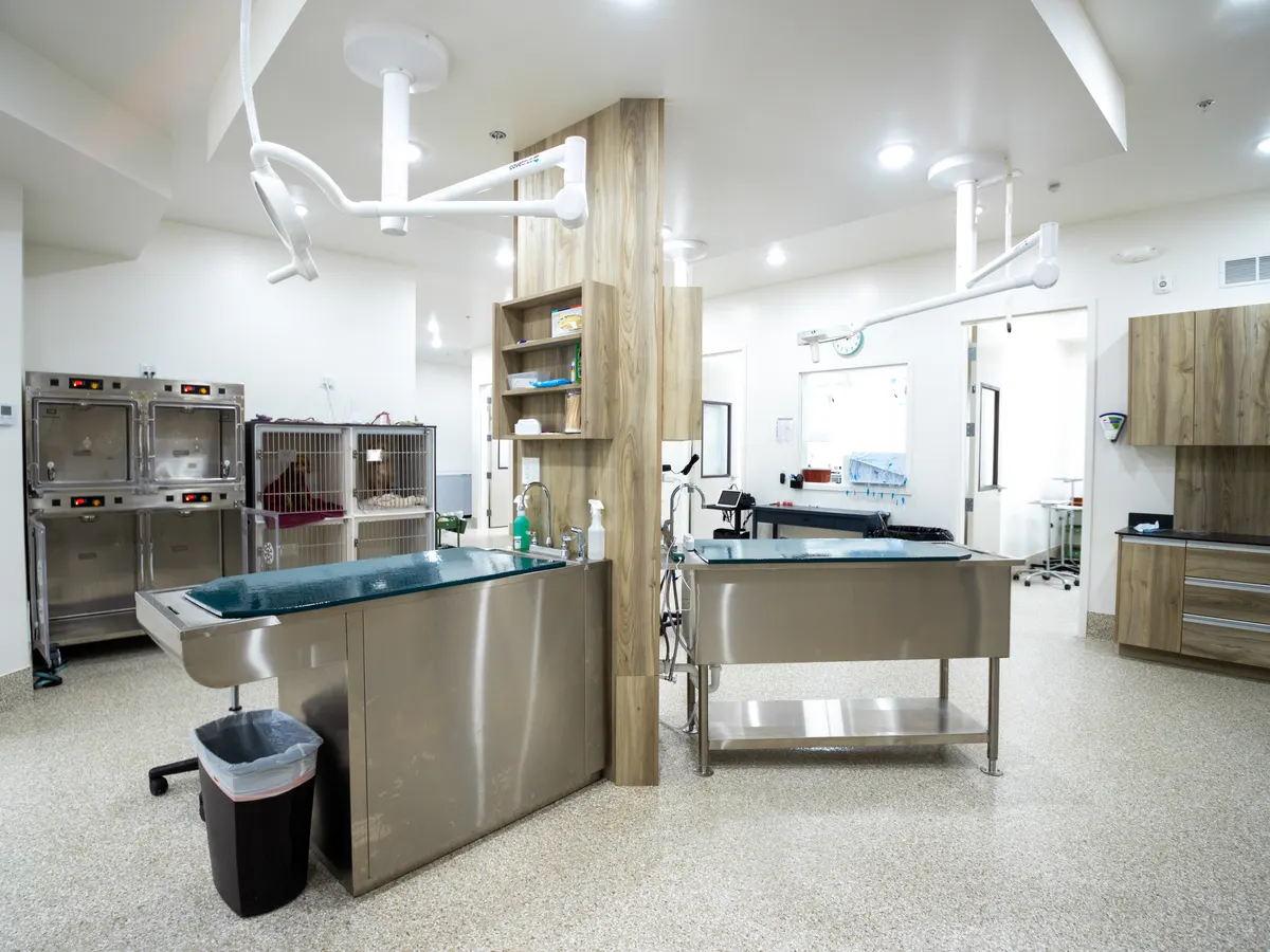 Veterinary prep area with bathing tub, treatment table, and recovery cages
