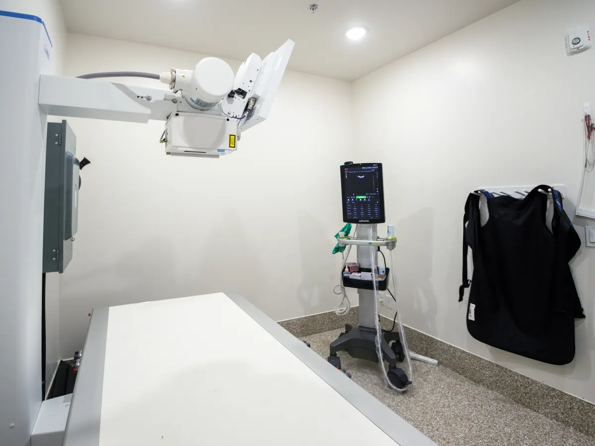 Veterinary digital radiology room with X-ray table and protective gear