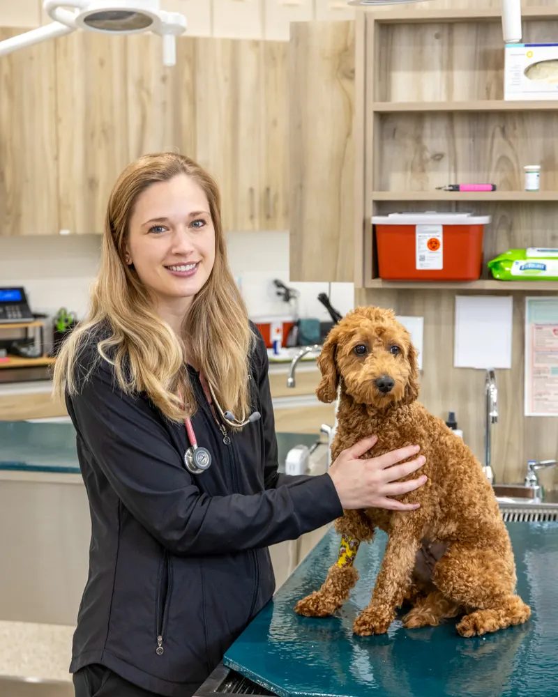 Dr. Nicole Sorensen, DVM, co-owner of Agave Animal Hospital, smiling beside a goldendoodle on an exam table